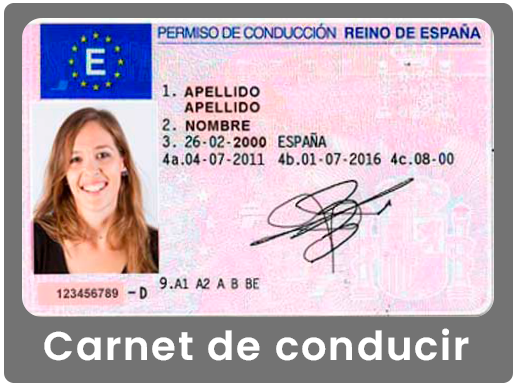 Lector Gesvi Carnet de conducir