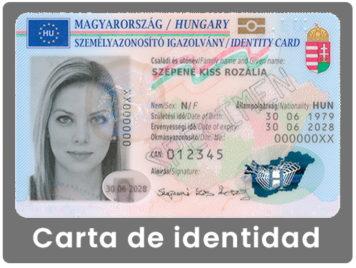 Lector Gesvi Carta de identidad