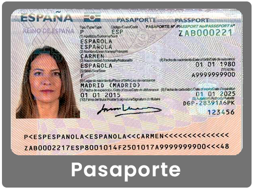 Lector Gesvi Pasaporte